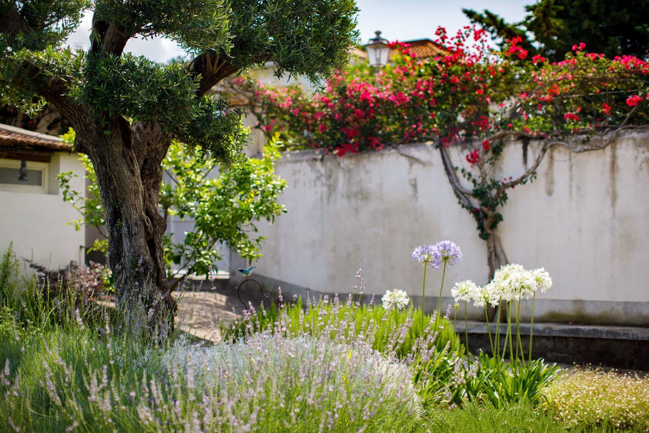 Reggine Holiday Apartments Sant'Agnello Exterior foto