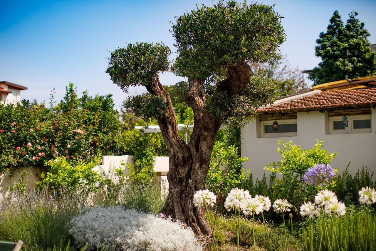 Reggine Holiday Apartments Sant'Agnello Exterior foto